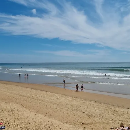 Aux Rochers De L'ocean